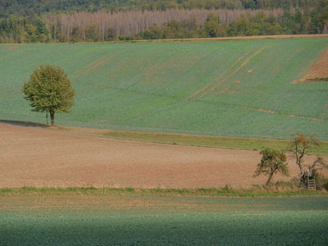 the small city of Waldeck in Hessen photo