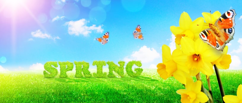 Spring and summer panorama with word spring. photo