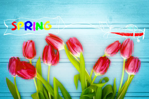 Beautiful tulips. Spring nature background for web banner and card design. photo