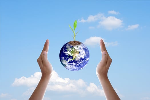 Human hand holding  tree and world on blurred nature background.World environment day. photo