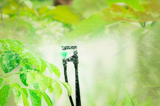 Green leaves of tree and grass watering by an automatic sprinkler in garden. Sprinkler for agriculture. Garden irrigation system. Sprinkler maintenance service. Home service irrigation sprinkler. photo