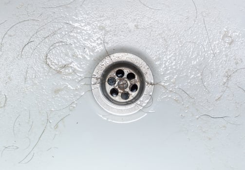 Dirty wash hand basin showing grungy drain with bits of hair photo
