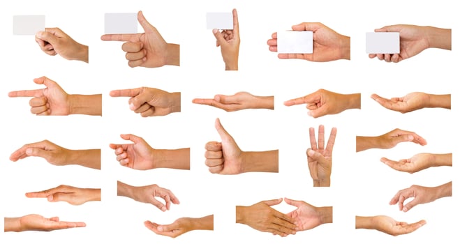 collection of hands photo