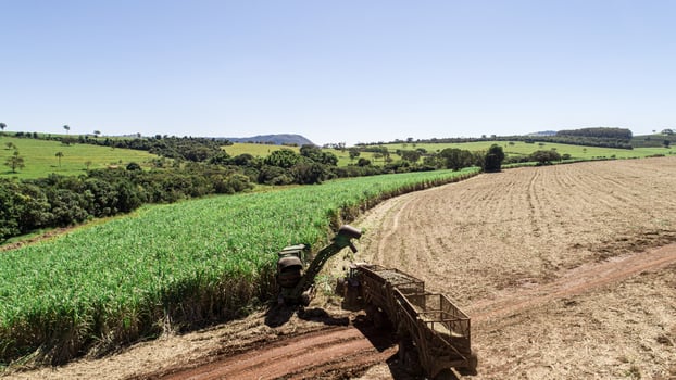 Sugar cane harvest in sunny day in Brazil. Aerial view. photo