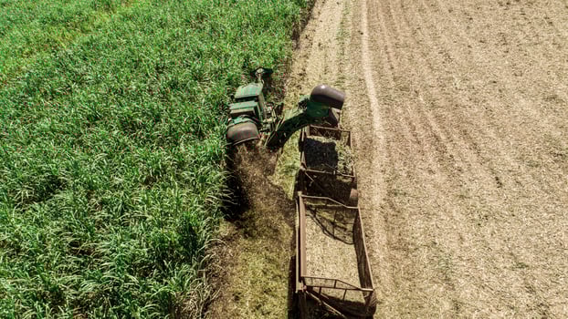 Sugar cane harvest in sunny day in Brazil. Aerial view. photo