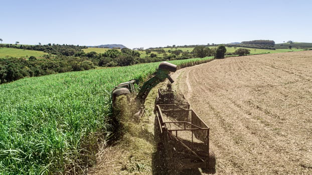 Sugar cane harvest in sunny day in Brazil. Aerial view. photo