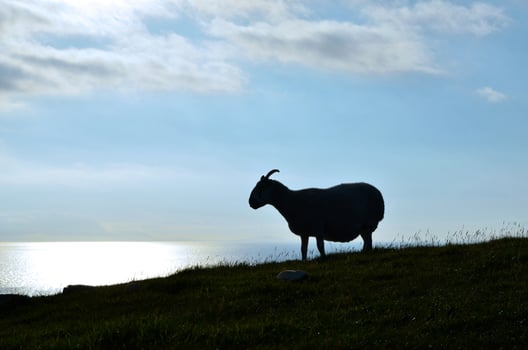 Breathtaking view of the Isle of Skye coast photo