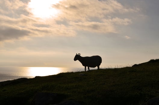 Gorgeous landscape view off the coast of Isle of Skye photo