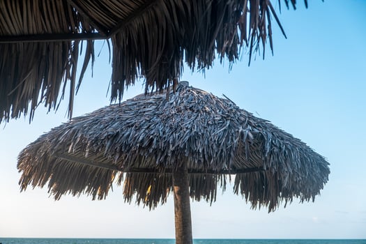 Cumbuco beach, famous place near Fortaleza, Ceara, Brazil. Cumbuco Beach full of kite surfers. Most popular places for kitesurfing in Brazil , the winds are good all over the year. photo