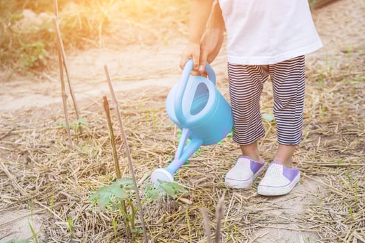 Little girl watering tree with watering pot photo