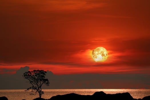 Blood moon and tree on the silhouette mountain on sunset sky photo