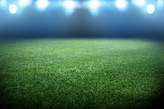 Soccer stadium arena with natural green grass photo