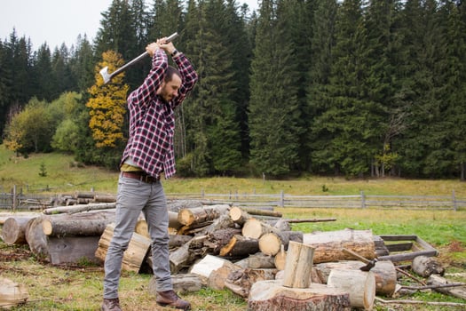 yong male in forest choping wood with steel axe, country landscape with lumberjack photo