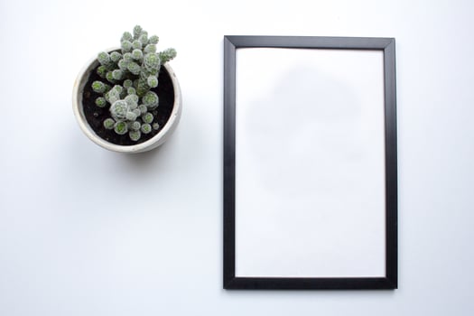 top view of photoframe on white table with plant decoration photo