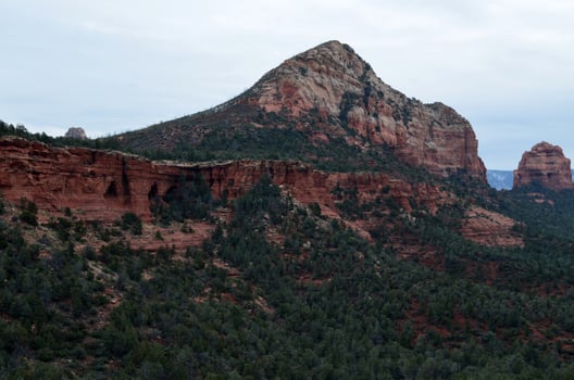 Trees Growing Along a Red Rock Butte photo