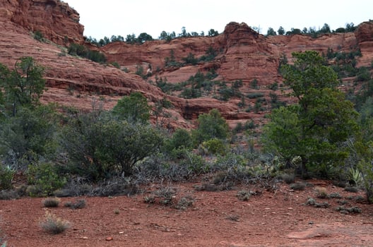 Beautiful Red Rock of Sedona in Arizona photo