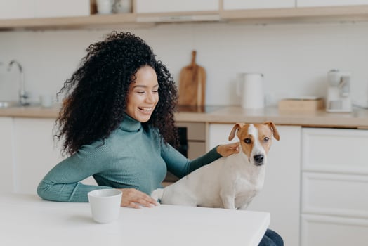 Playful woman with Afro haircut, pets her breed dog, have fun together, pose in cozy kitchen, drink coffee, laugh happily. Young curly lady glad to live with pet, enjoys domestic atmosphere. photo