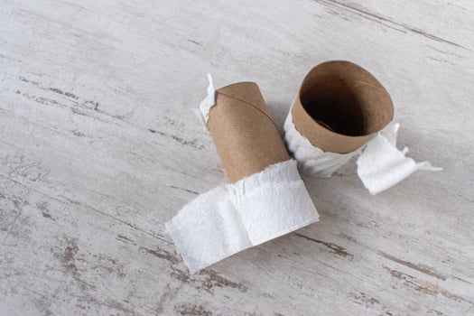 running out of supplies with top view of empty toilet paper rolls photo