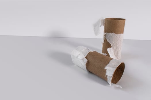 running out of supplies with top view of empty toilet paper rolls photo