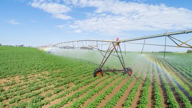 Agricultural irrigation system on sunny summer day. An aerial view of a center pivot sprinkler system. photo