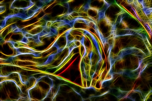 Abstract albino Burmese python photo