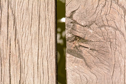 The wood texture is the art work. photo