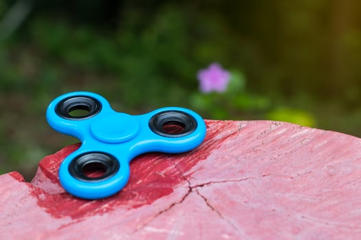 Blue spinner hand on stump. photo