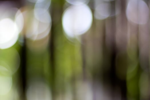 Blurred bokeh light round foliage wooden fence. photo