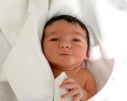 Baby Photos December 2017