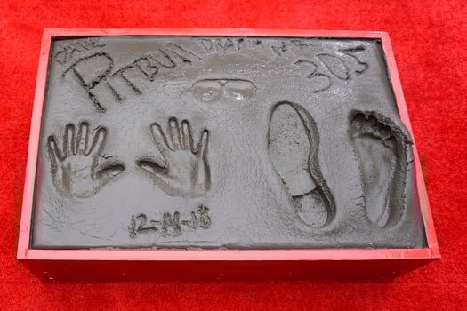 LOS ANGELES - DEC 14 - Pitbull, handprints at the Pitbull Hand and Footprint Ceremony at the TCL Chinese Theater IMAX on December 14, 2018 in Los Angeles, CA photo