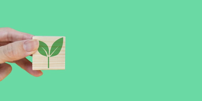 A businessman holds a wooden box with a leaf icon in his hand.Doing business with consideration for environment and nature photo
