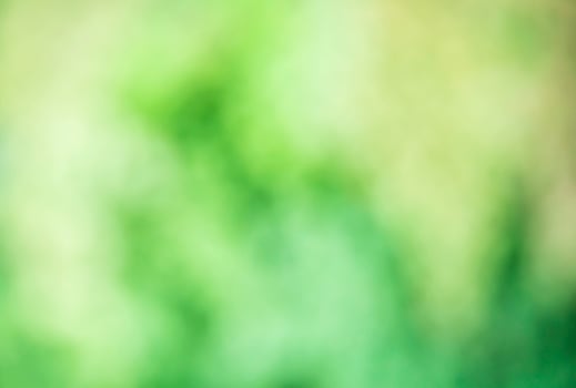 Green blur bokeh on the abstract background. photo