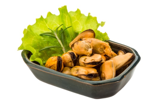 Marinated mussels in a bowl on white background photo