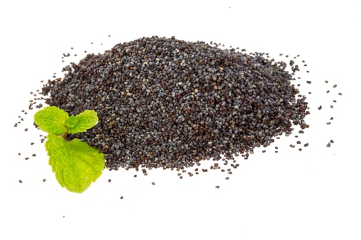 Poppy seed on white photo