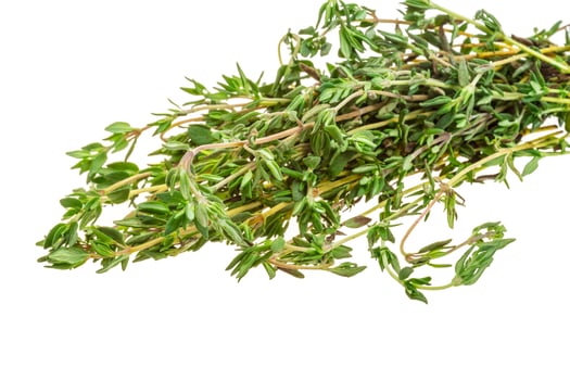 Thyme on white background photo
