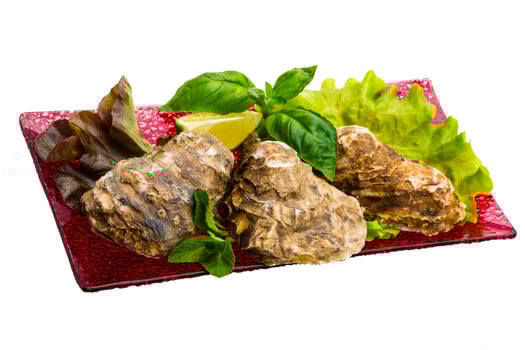 Fresh oyster on white photo