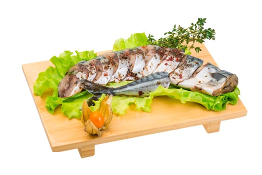 Mackerels on white photo