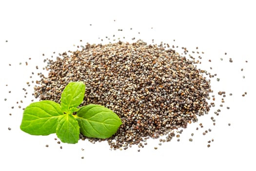 Poppy seeds on white background photo