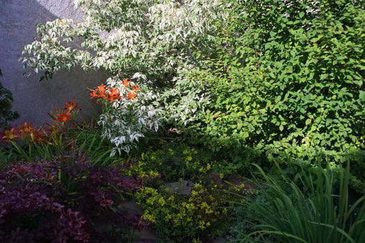 Nice garden with flowers and green lawn photo
