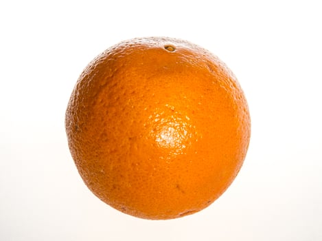 orange isolated on a white background photo