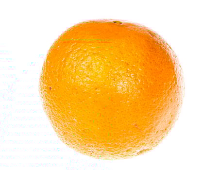 orange isolated on a white background photo