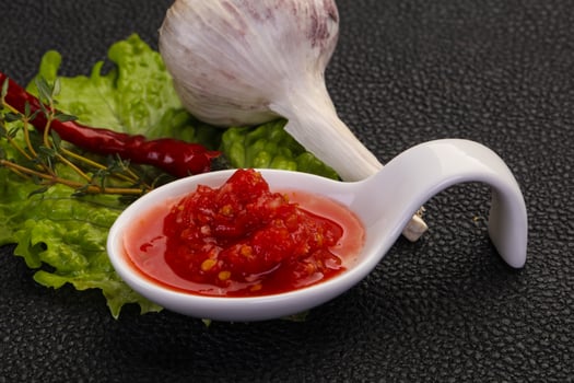 Spicy tomato and garlic sauce photo