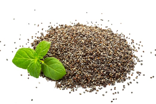 Poppy seeds on white photo