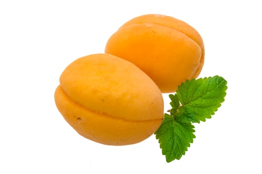Apricot on white photo