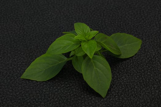 Fresh green Basil leaves - for cooking photo