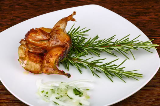 Grilled quail meal view photo