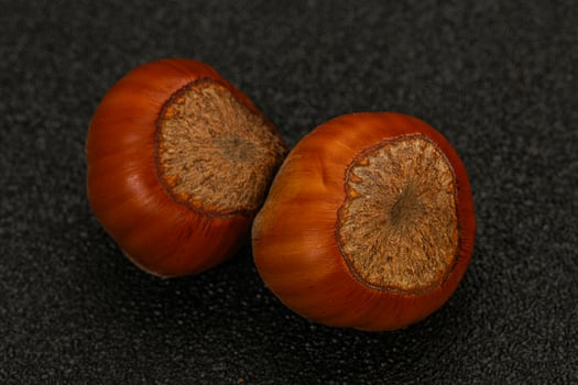 Two ripe tasty Whole hazelnut photo