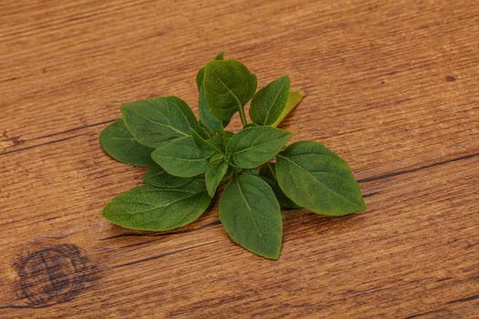 Aroma seasoning - Green Basil leaves photo