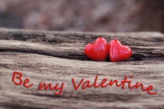 2 red hearts photo