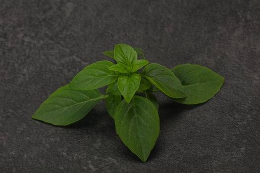 Fresh green Basil leaves - for cooking photo